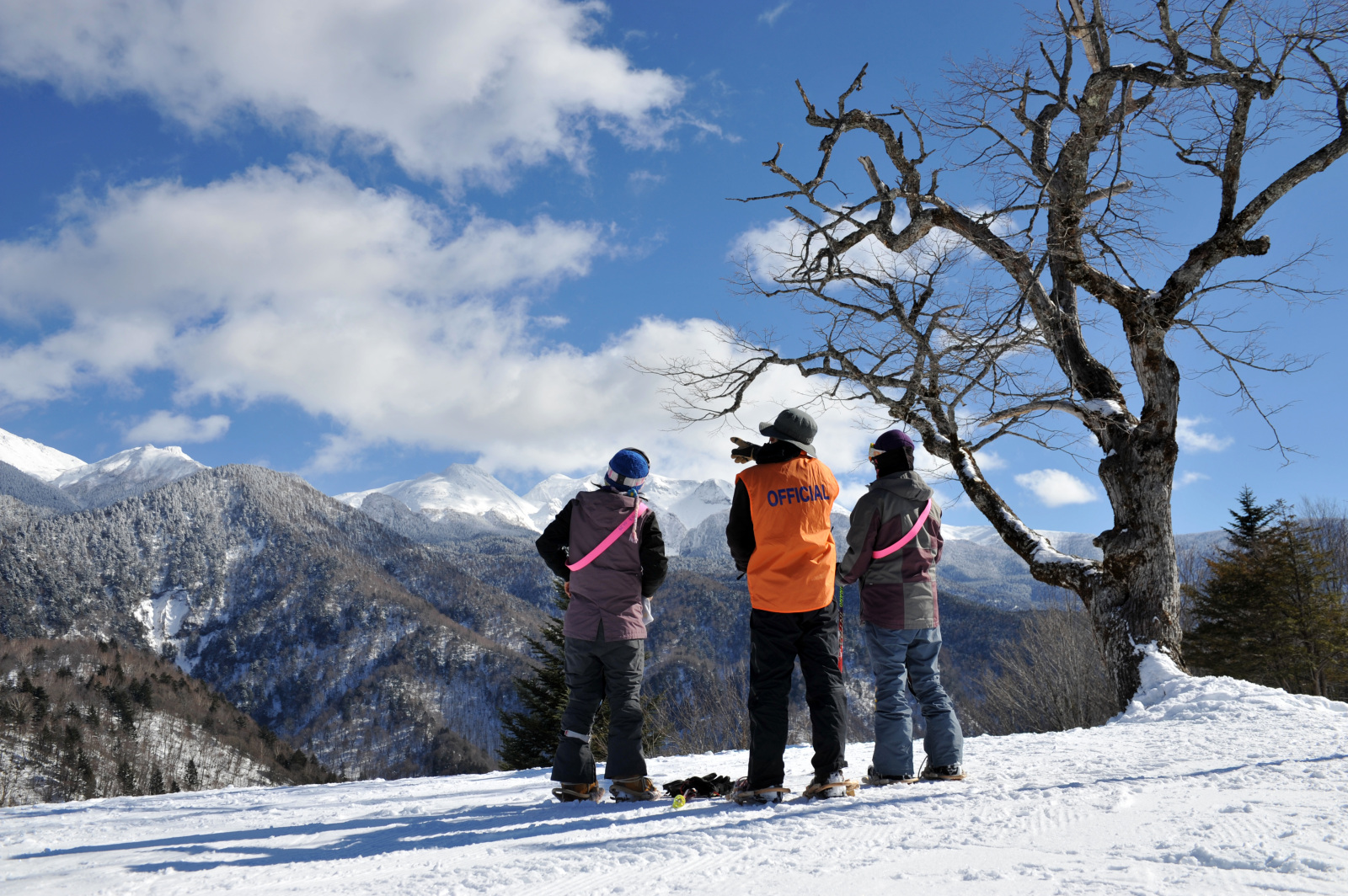 雄大な山々に囲まれて楽しむ冬のアクティビティ