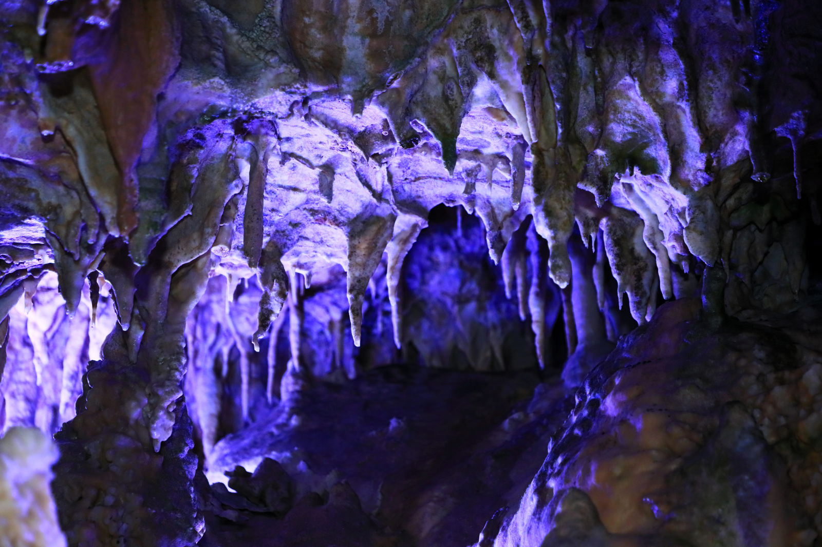 悠久の年月が作り出す自然の美飛騨大鍾乳洞