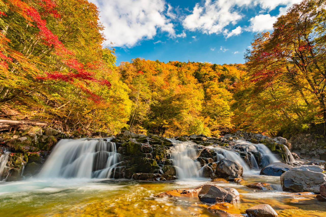紅葉の滝、澄んだ水を湛えるダム、絶景を堪能しながら世界遺産 白川郷へ！清見～荘川～白川郷をドライブする日帰りモデルコース