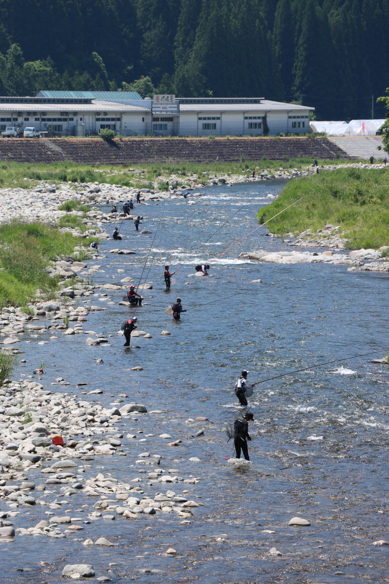 2025年 久々野・鮎釣りシーズン開幕！