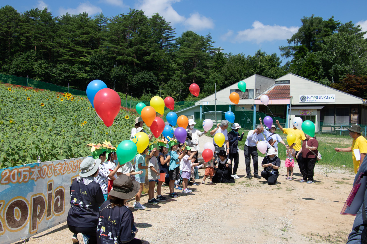 アルコピアひまわり園、本日開園！