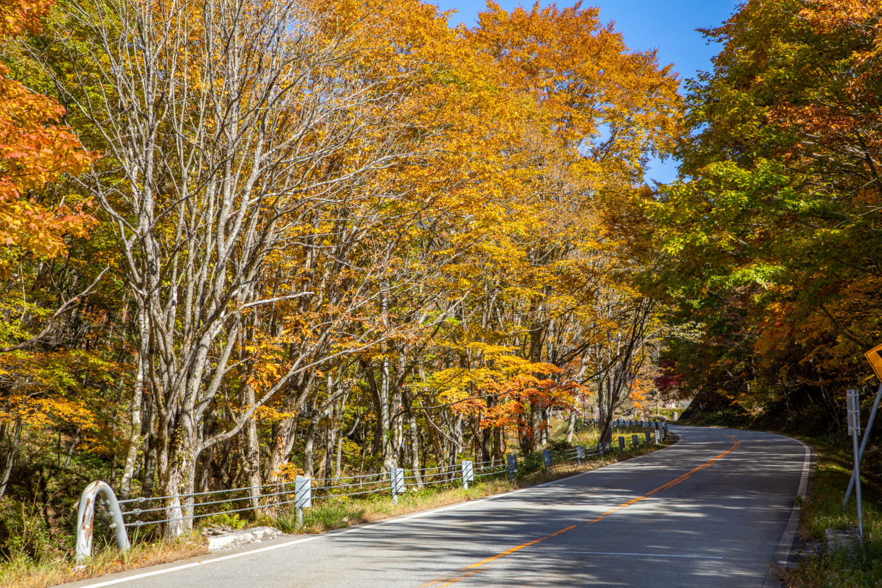 【3分で分かる】ひだ清見へようこそ