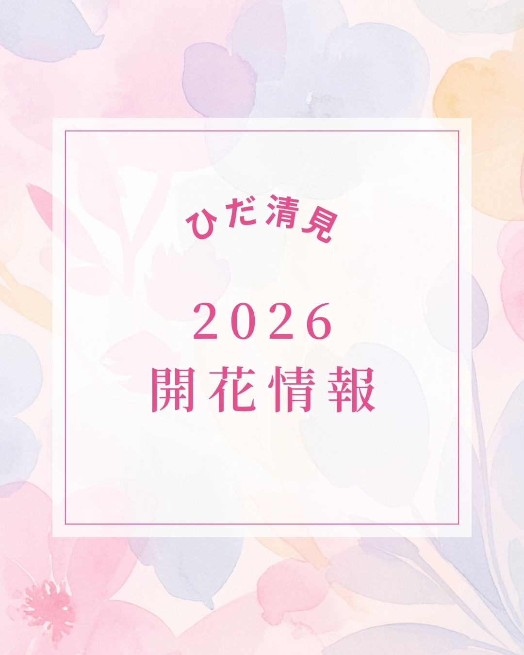 2026ひだ清見開花情報