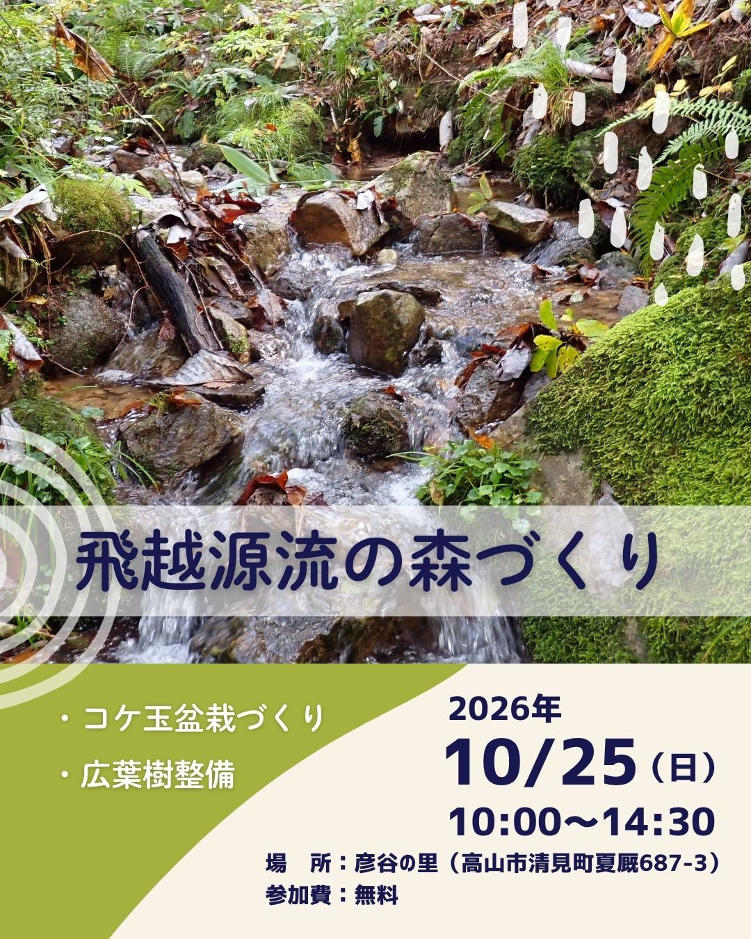 10/25　飛越源流の森づくり