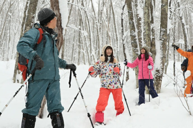 アクティビティ体験