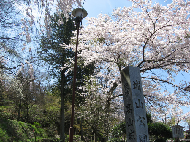 城山公園（二之丸公園）の桜　