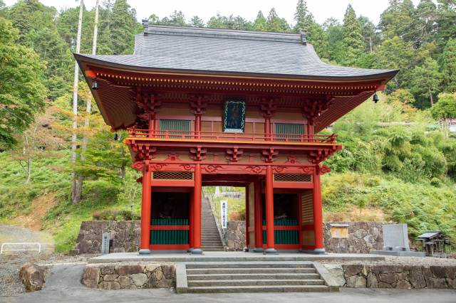 飛騨千光寺の桜