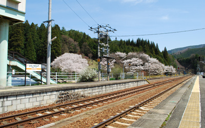 駅から見える桜