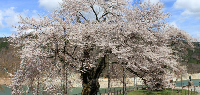 荘川エリア