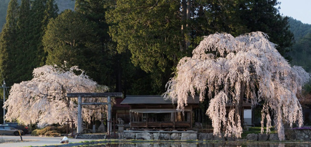 朝日エリア