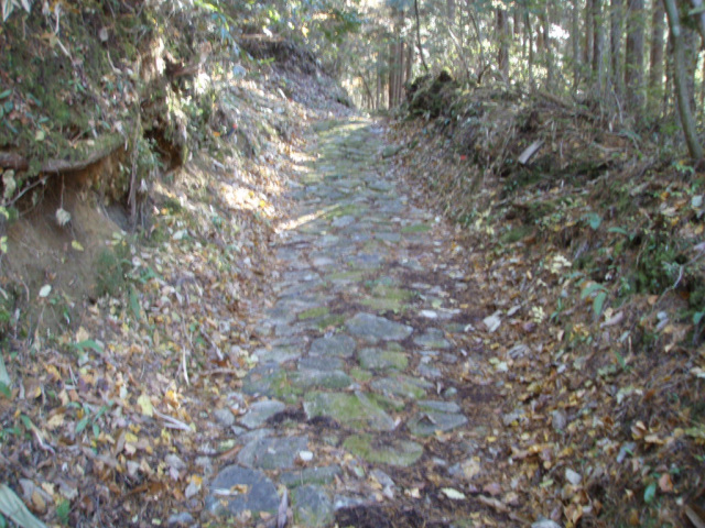 位山登山道