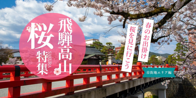 飛騨高山桜特集