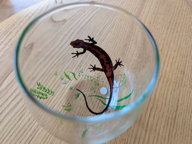 Herpetama （はぺたま）