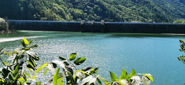 高根第一・第二ダム湖畔