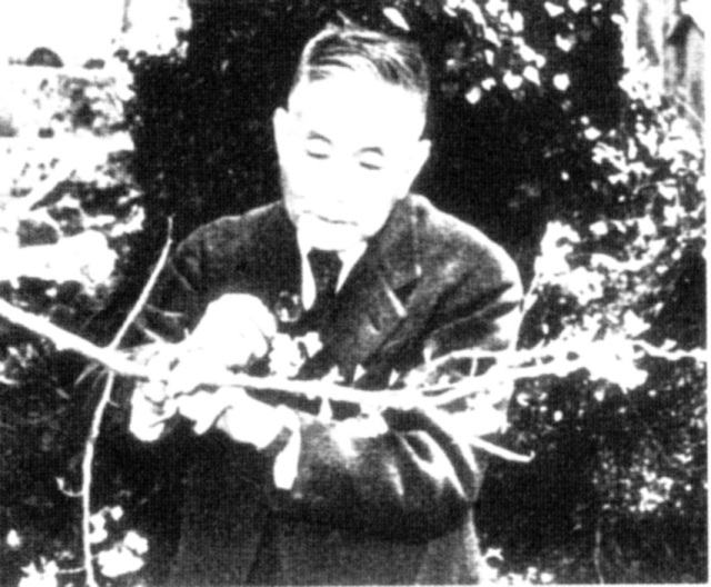 笹部新太郎