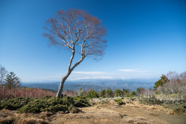 A Sweeping Panorama at the Summit