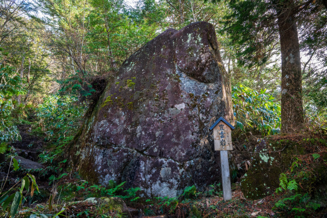 Mysterious Megaliths Hidden in the Forest
