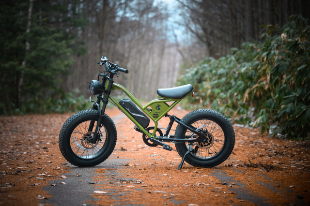 Ride into the Forest on a Fat-Tyre E-Bike