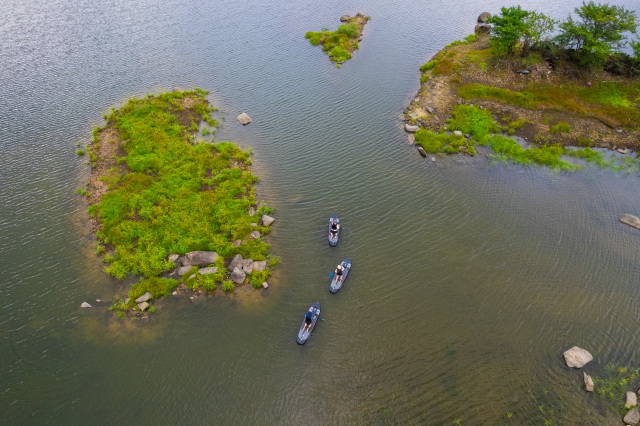 Lake Araragi: A Tranquil Forest Retreat at 1,000 Metres