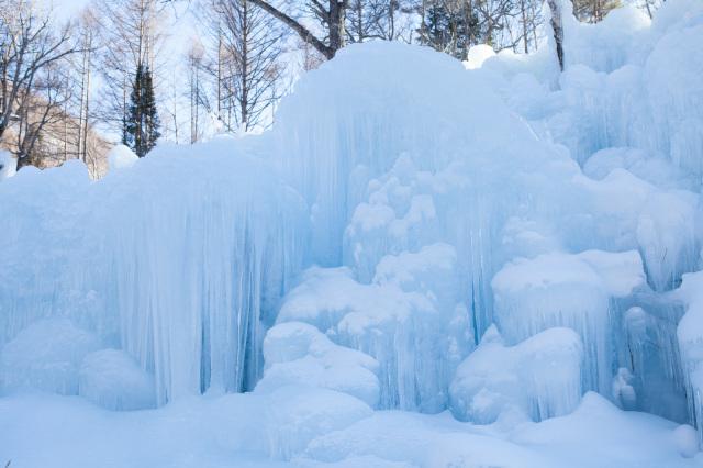 Four Hectares of Forest Transformed into Ice Art