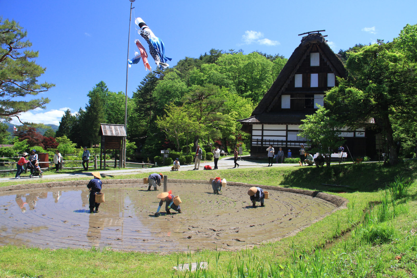 合掌造り家屋が佇む 飛騨の里