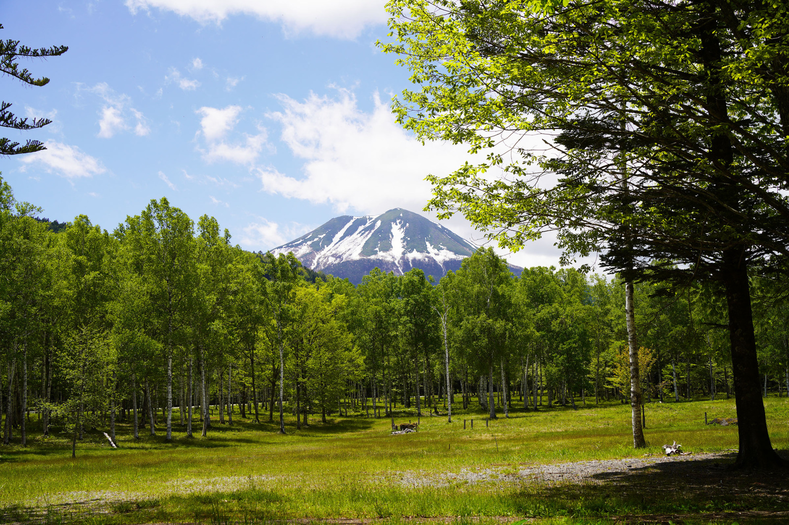 標高1,400ｍの日和田高原から望む日和田富士（御岳山）