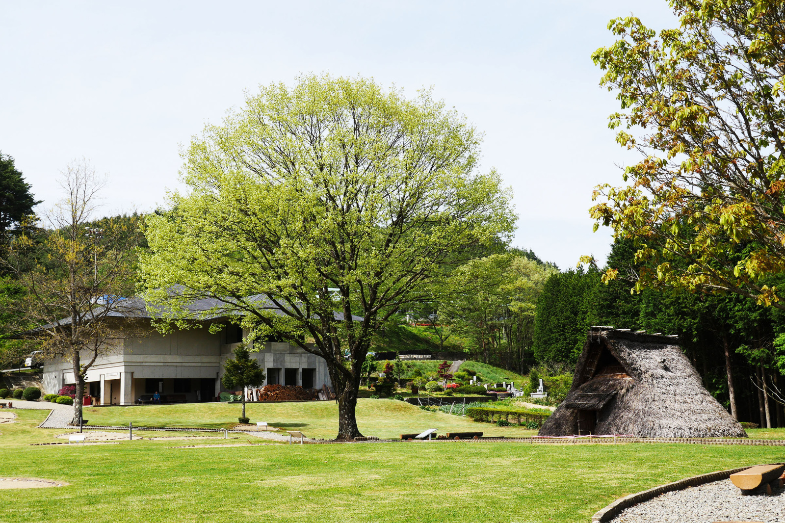縄文の時代に思いを馳せる 堂之上遺跡