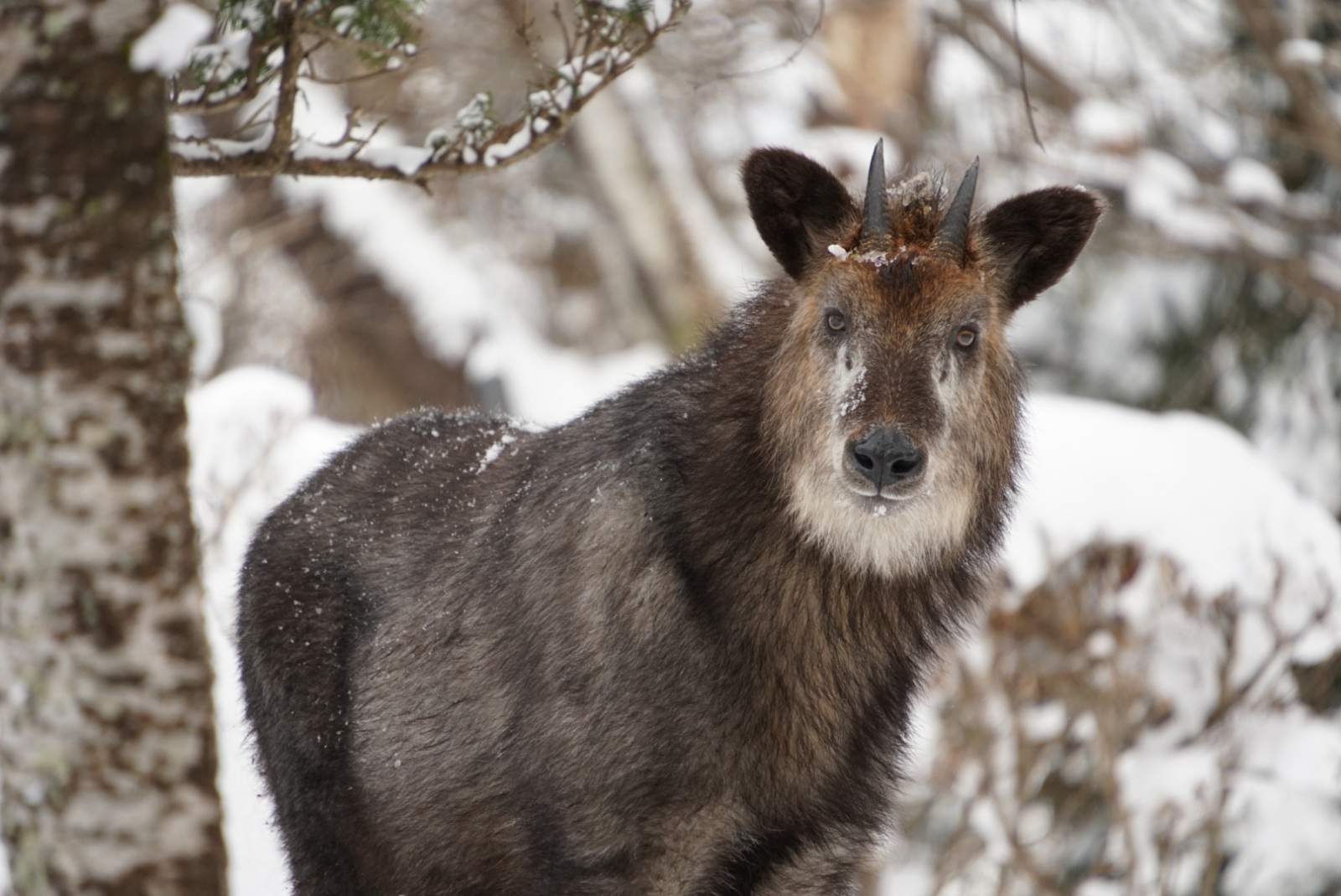 里山で感じる四季城山公園