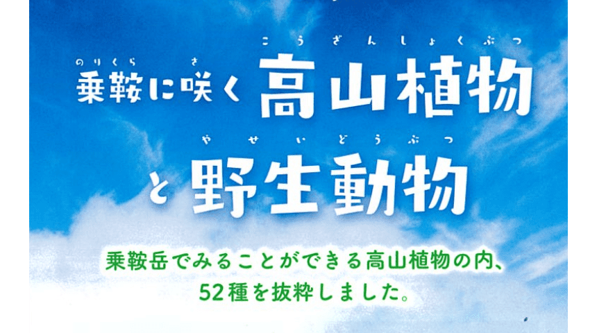 乗鞍に咲く高山植物と野生動物