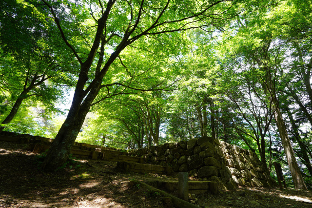 高山城跡（日本遺産構成文化財）