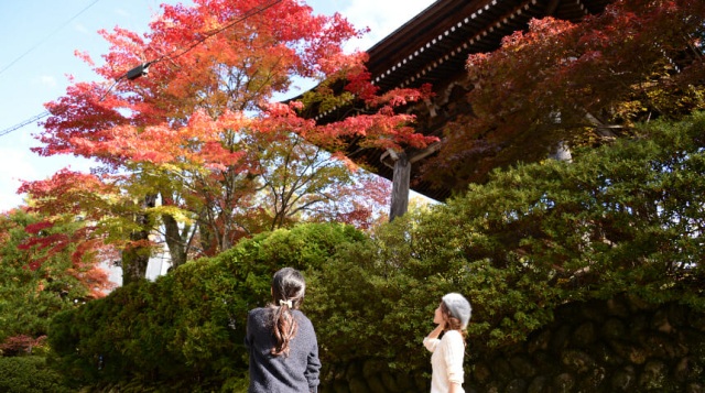 天照寺