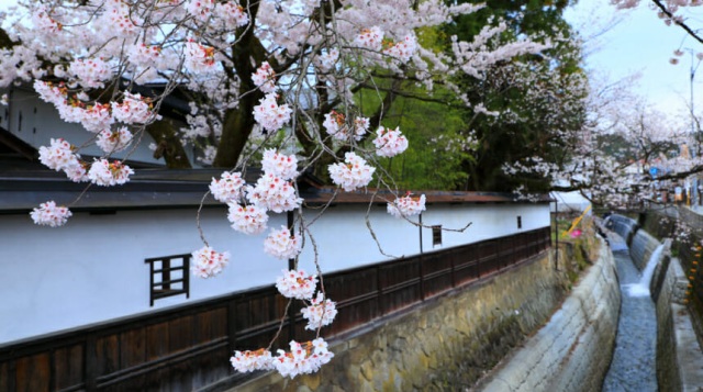 江名子川遊歩道