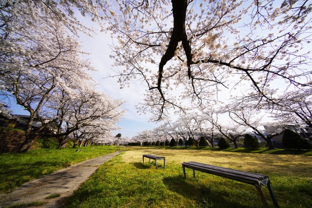 宮川緑地公園