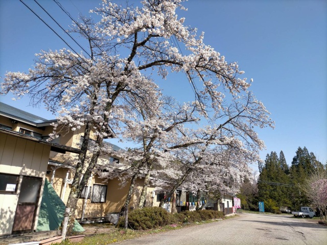 美女高原キャンプ場