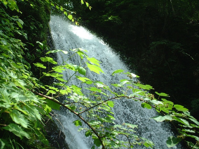 イノシシ滝