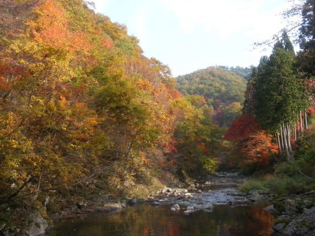 御手洗川渓谷の紅葉