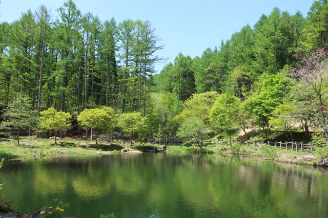 西ウレ峠