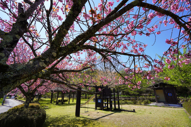 久々野ふるさと公園