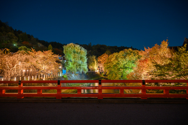 秋の中橋ライトアップ