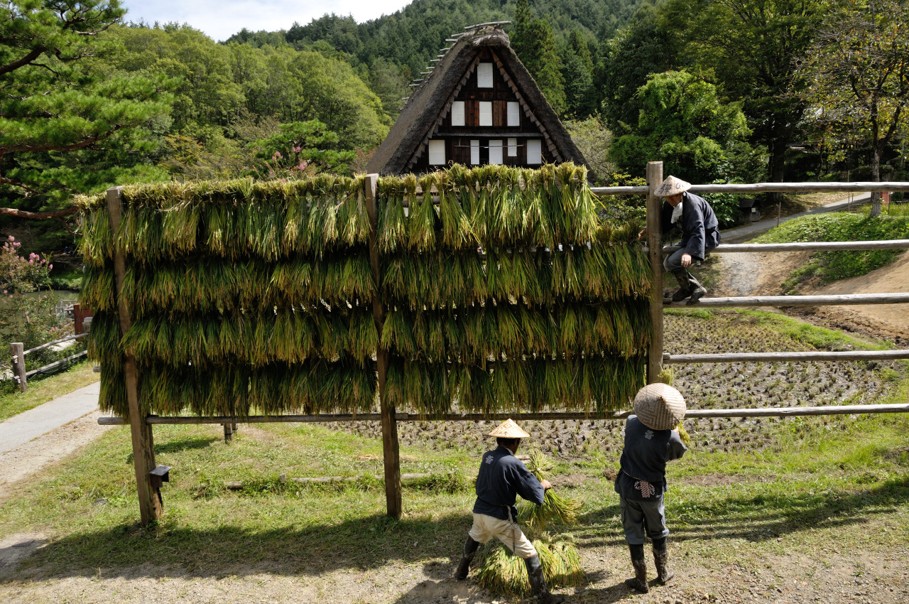 飛騨高山フォトコンテスト入賞：福谷昌己氏