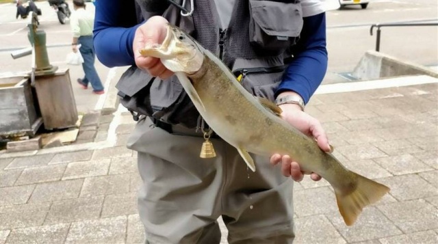 飛騨あさひ年間釣りグランプリ