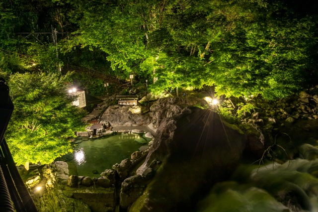 新穂高の湯　新緑ライトアップ