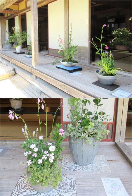 寄せ植え華道飛騨支部発表会