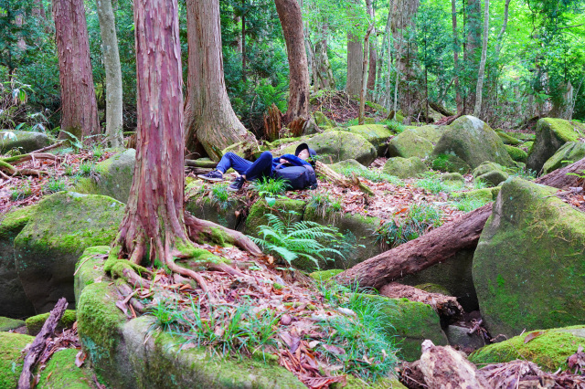 久々野の森時間