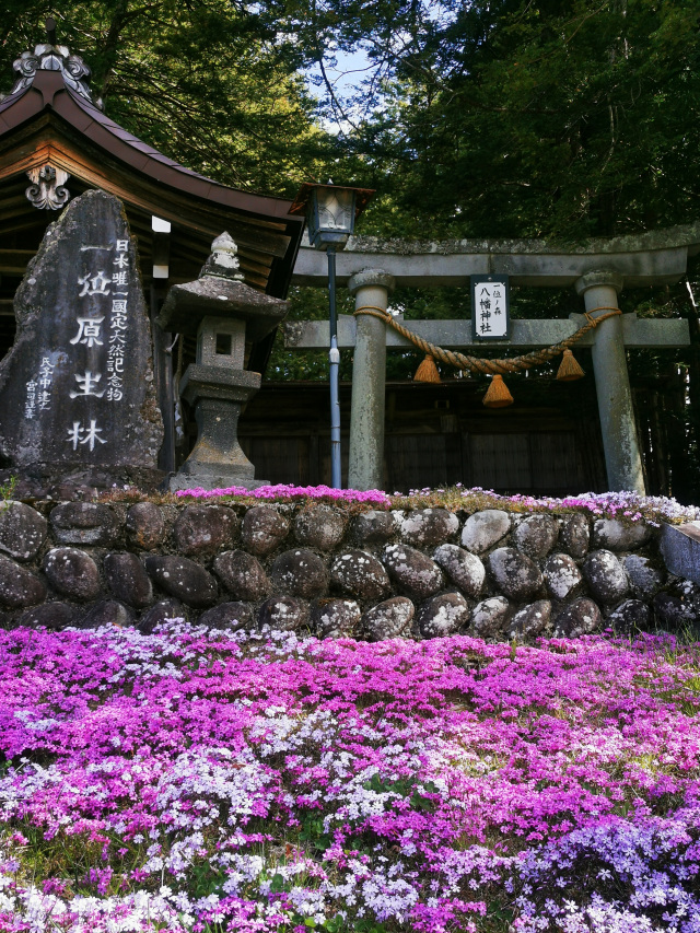一位森八幡神社
