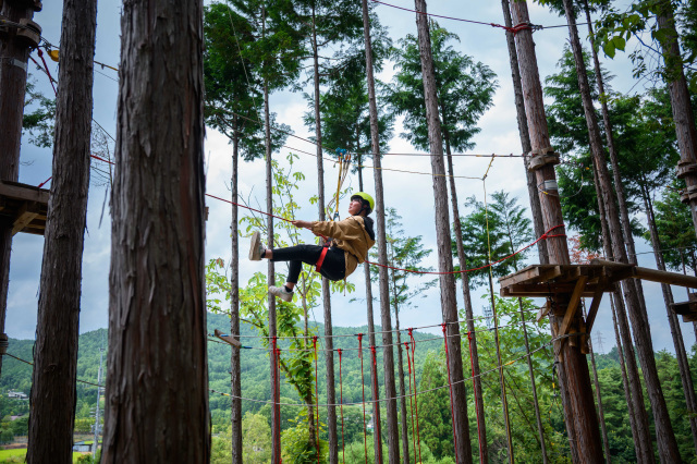 Tree to Tree 飛騨 千島店