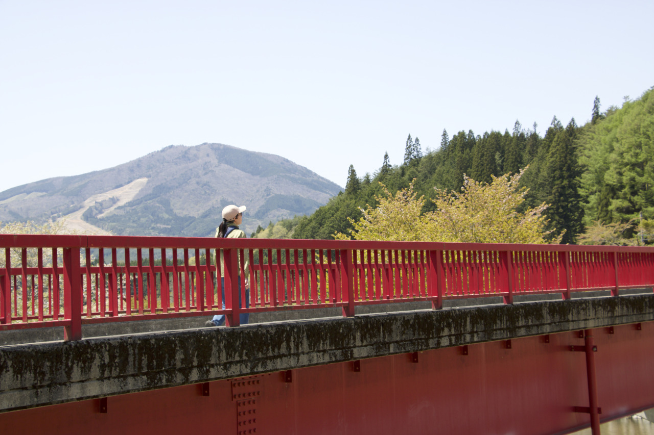 春のさわやかウォーキング
