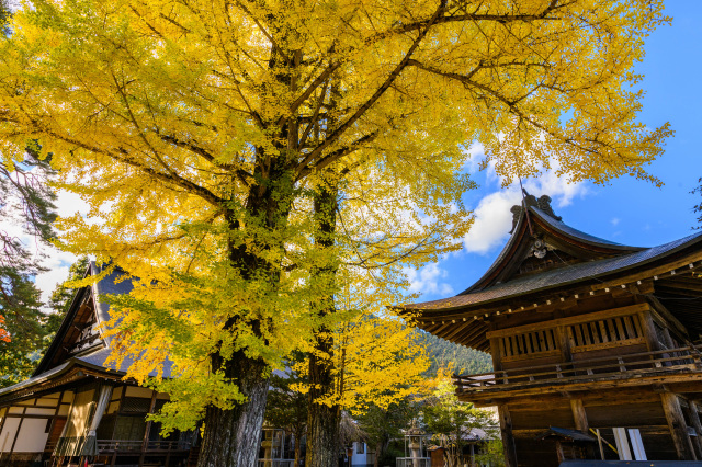 往還寺