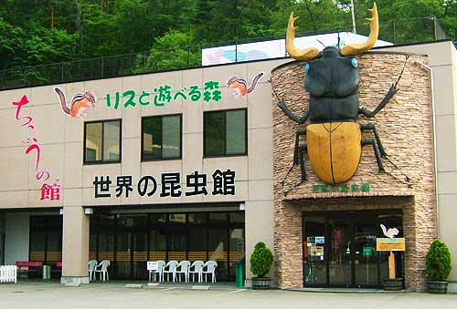 世界の昆虫館