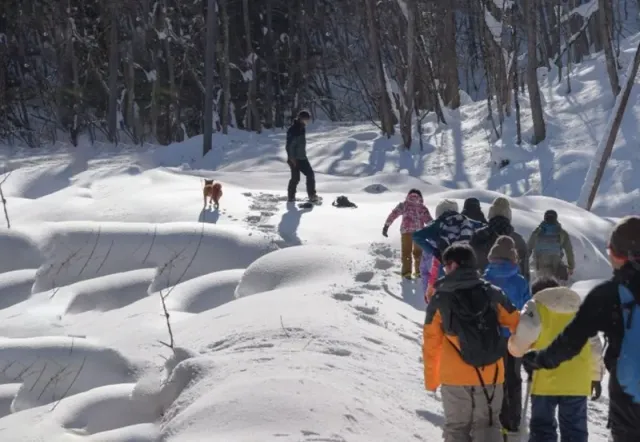 2026年冬「冬のシルヴァンの森散策とものづくりワークショップ」